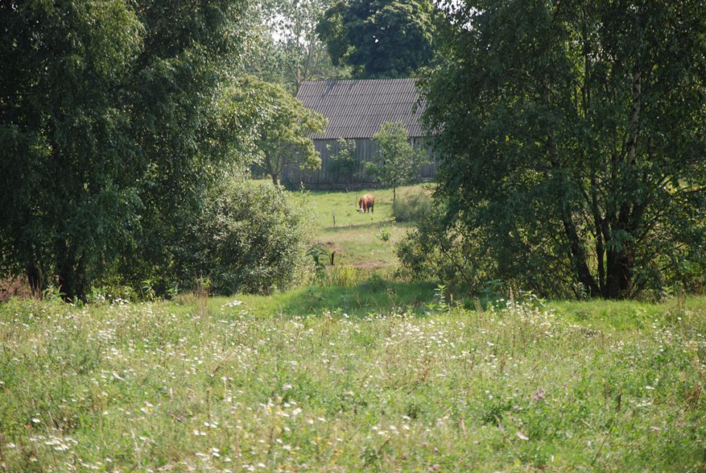łaka