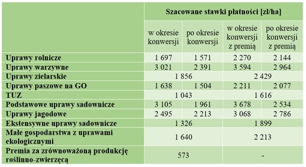 stawki płatności