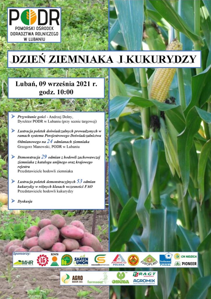 Dzień ziemniaka i kukurydzy - Lubań - plakat