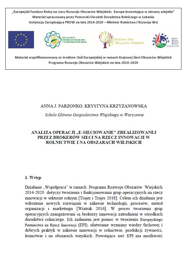 Analiza - E-Sieciowanie - okładka publikacji