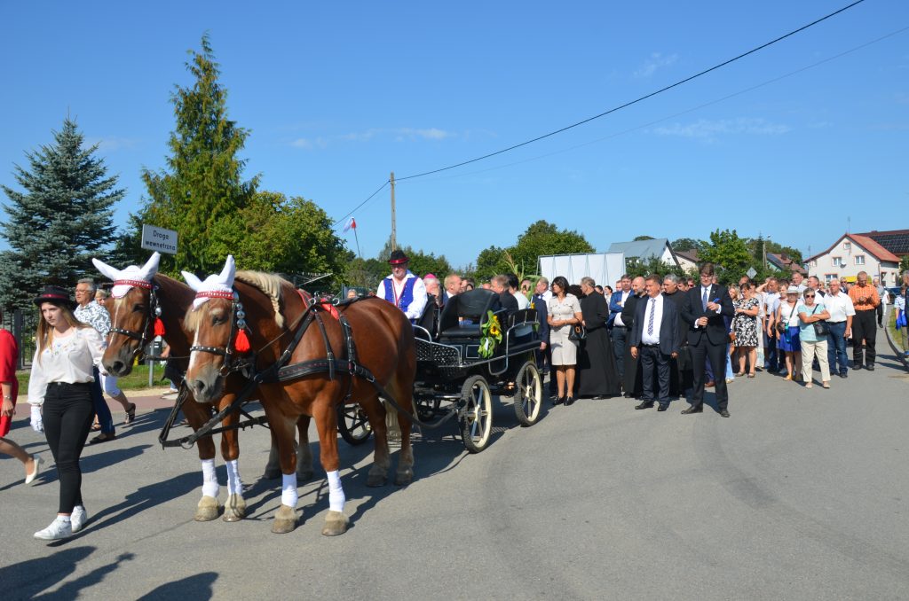 Dożynki