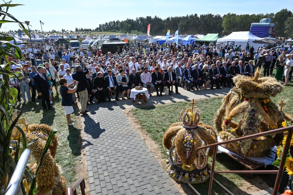 Dożynki