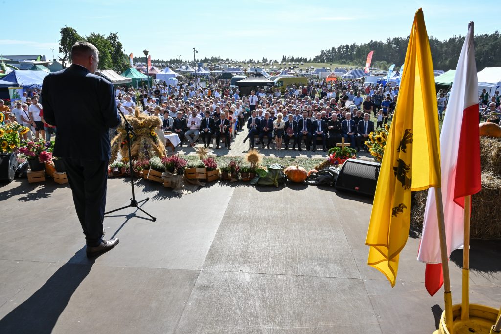 Dożynki