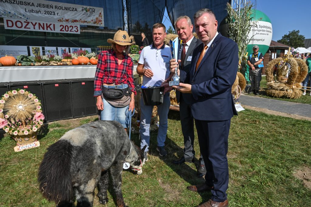 Rozstrzygnięcie konkursu Miss Alpaka