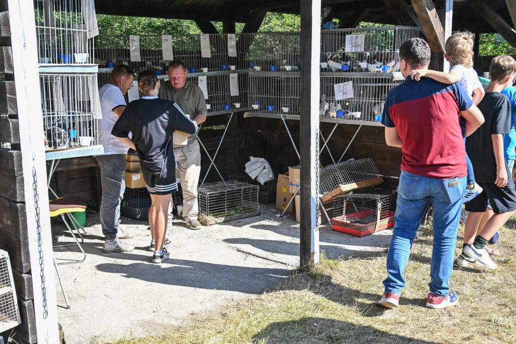 XXV Kaszubska Jesień Rolnicza 2023