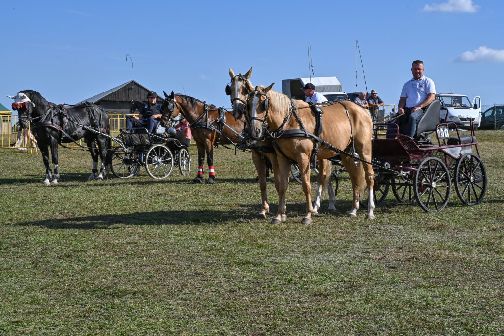 Zawody w Powożeniu Zaprzęgami Konnymi o Memoriał Wojciecha Dąbrowskiego