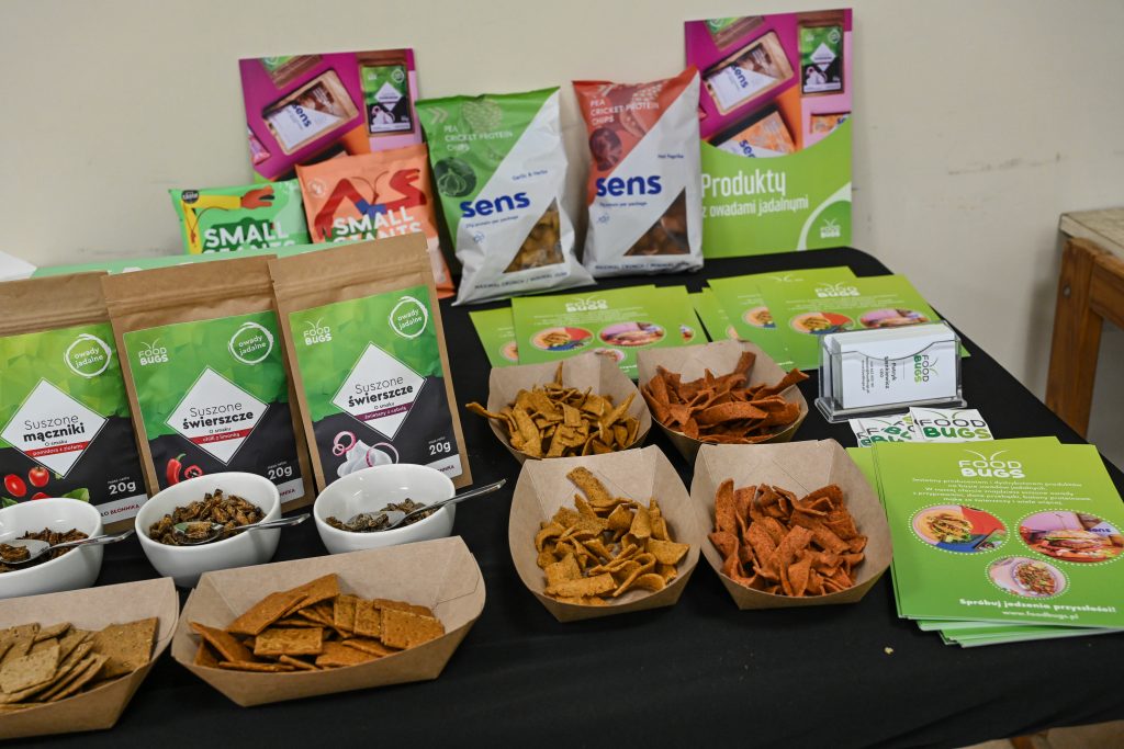 Produkty z owadów przygotowane do degustacji