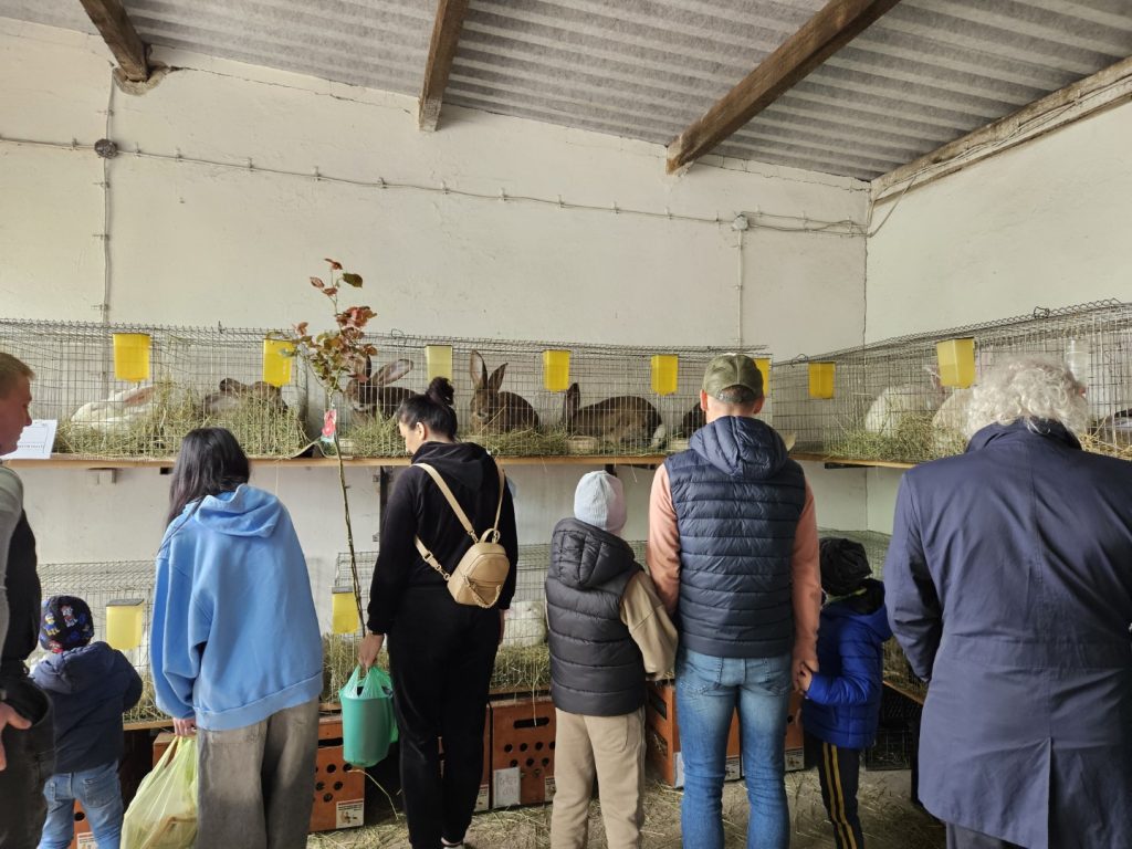 Targi Ogrodniczo- Pszczelarskie Lubań